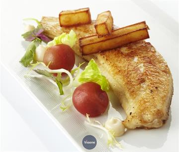 Handelsgelijkvloers Te koop Oostende